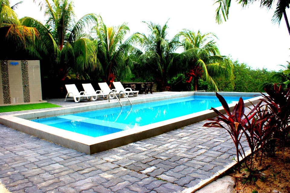 Swimming pool, Swimming pool