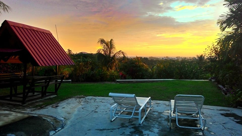 Garden view