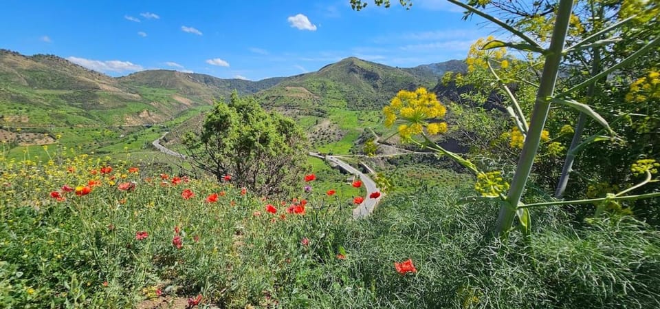 Spring, Natural landscape, Mountain view