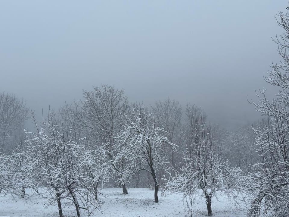 Winter