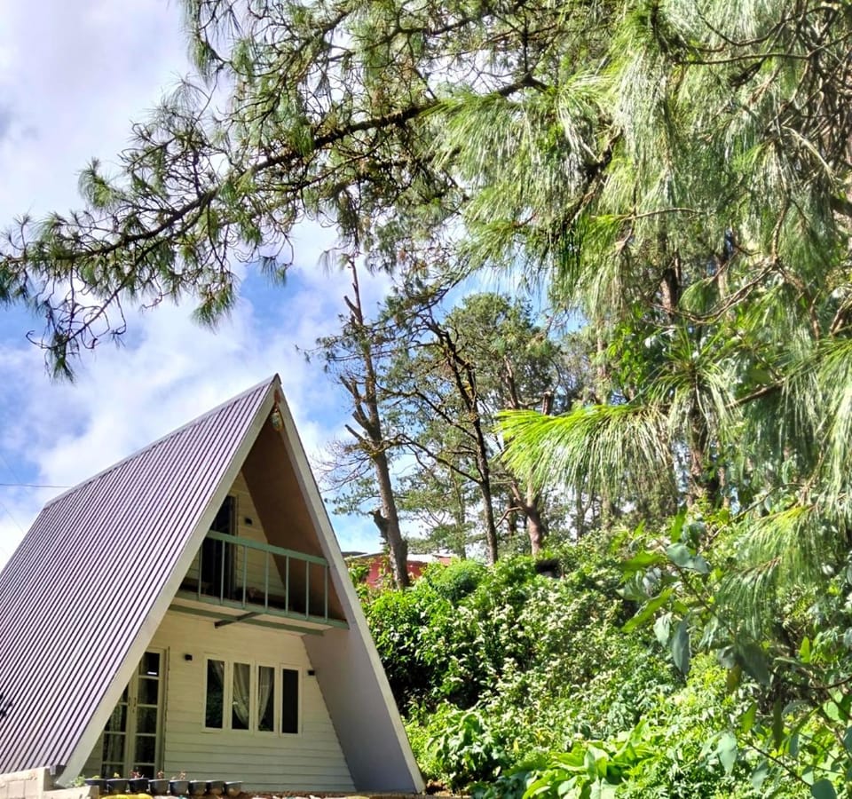Best night Chalet in Nuwara Eliya