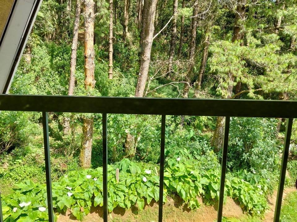 Best night Chalet in Nuwara Eliya