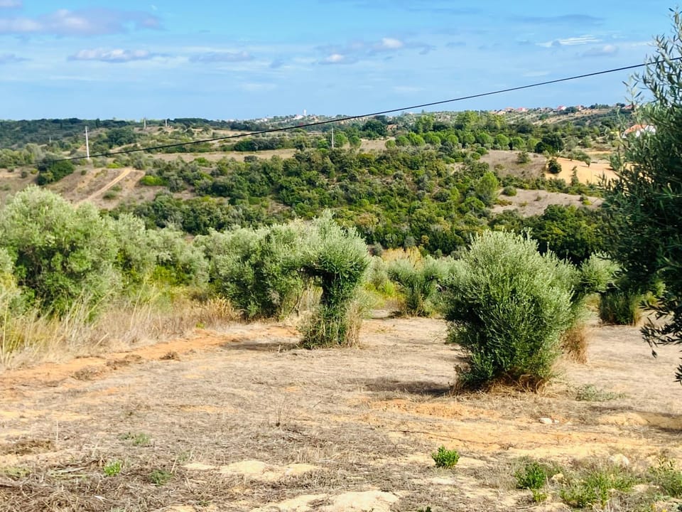 Natural landscape