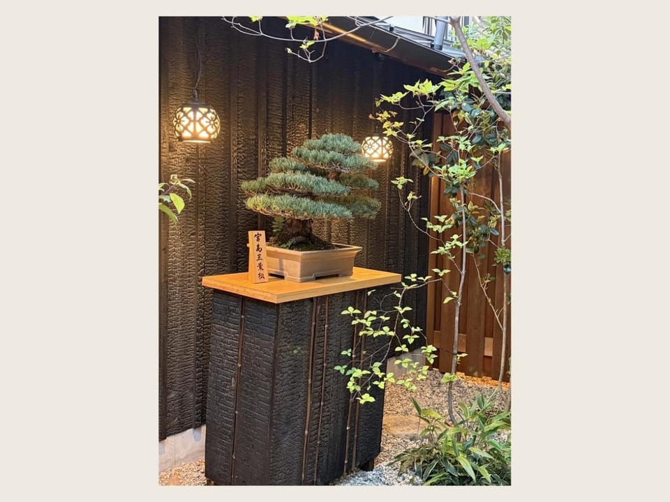 Garden view