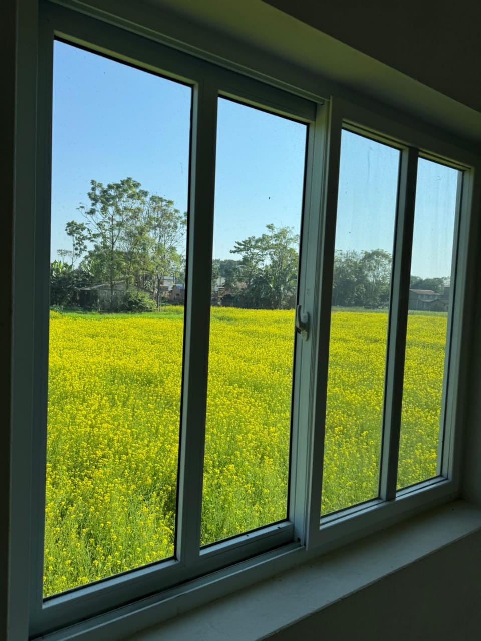 Natural landscape, Garden view