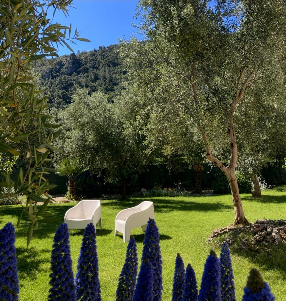 Spring, Natural landscape, Garden, Garden view, Mountain view