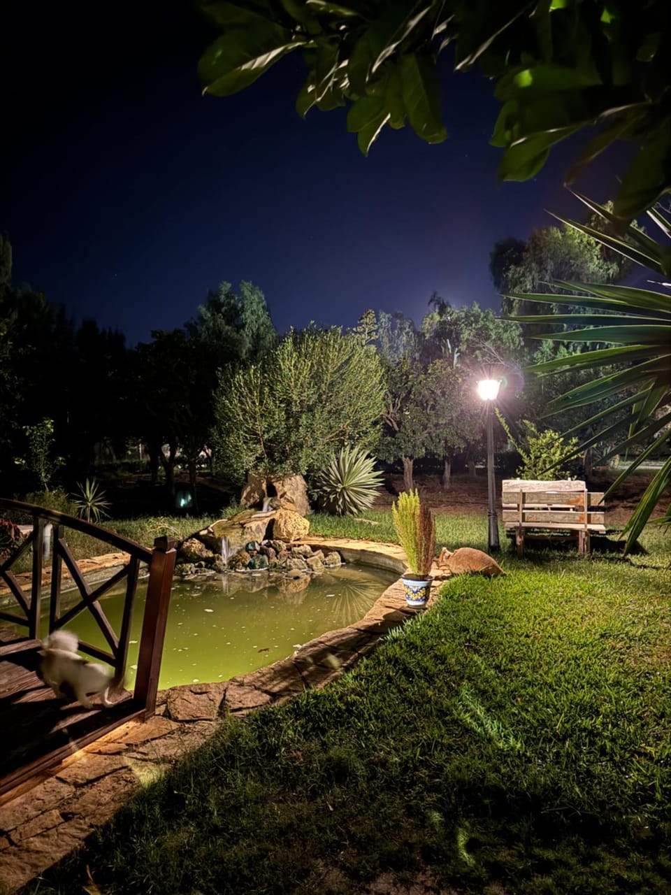 La cabane Campground/ 
RV Resort in Nabeul‎, Tunisia
