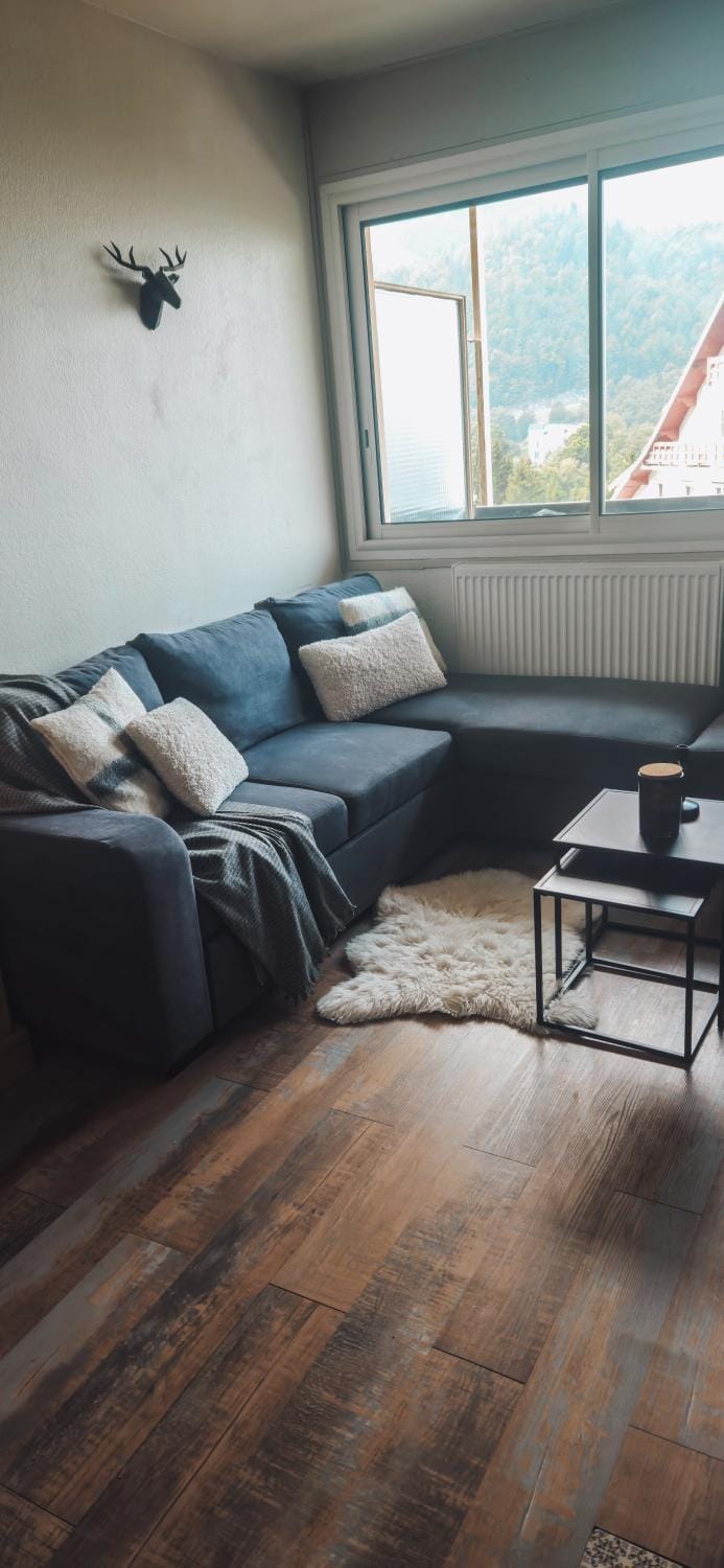 Station de ski Gourette, Appartement avec chambre Apartment in Nouvelle-Aquitaine