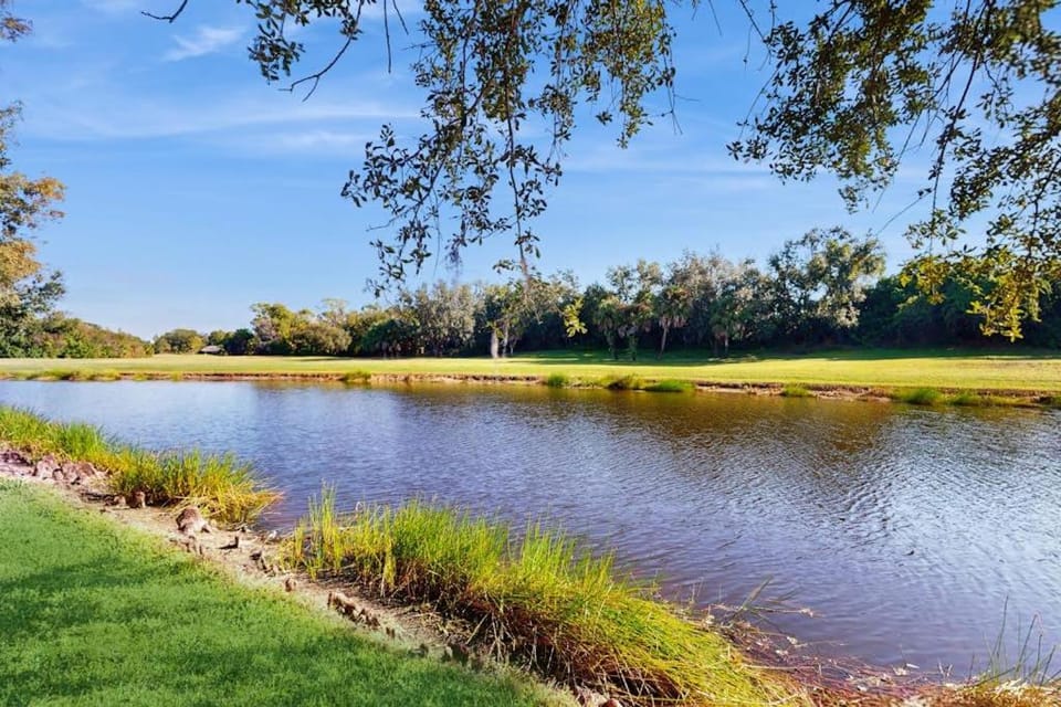 Greenway Dreaming House in Florida