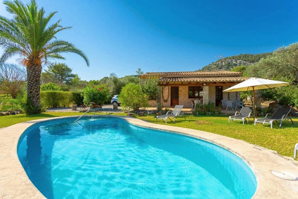 Property building, Natural landscape, Garden, Garden view, Swimming pool, sunbed