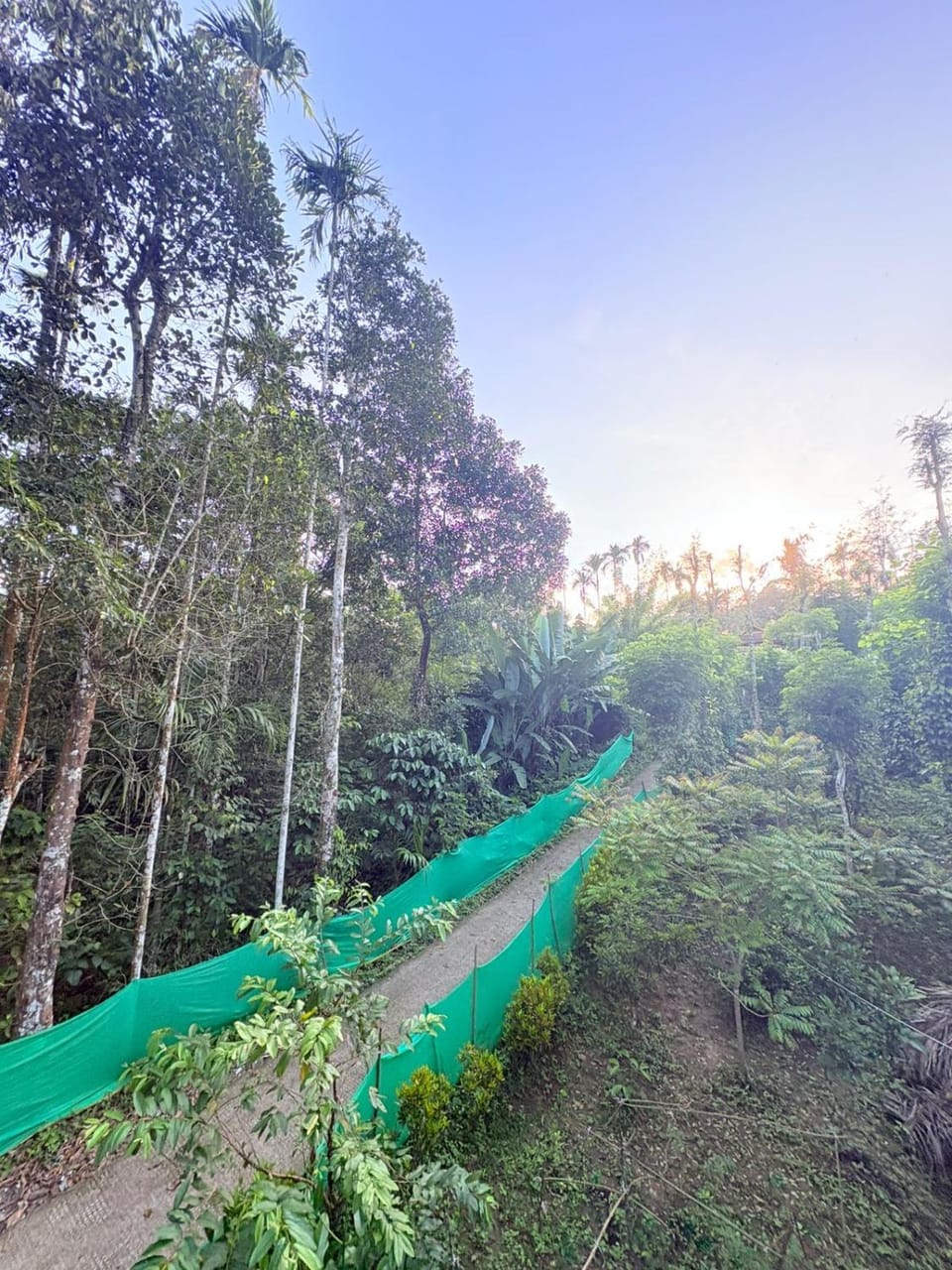 Natural landscape