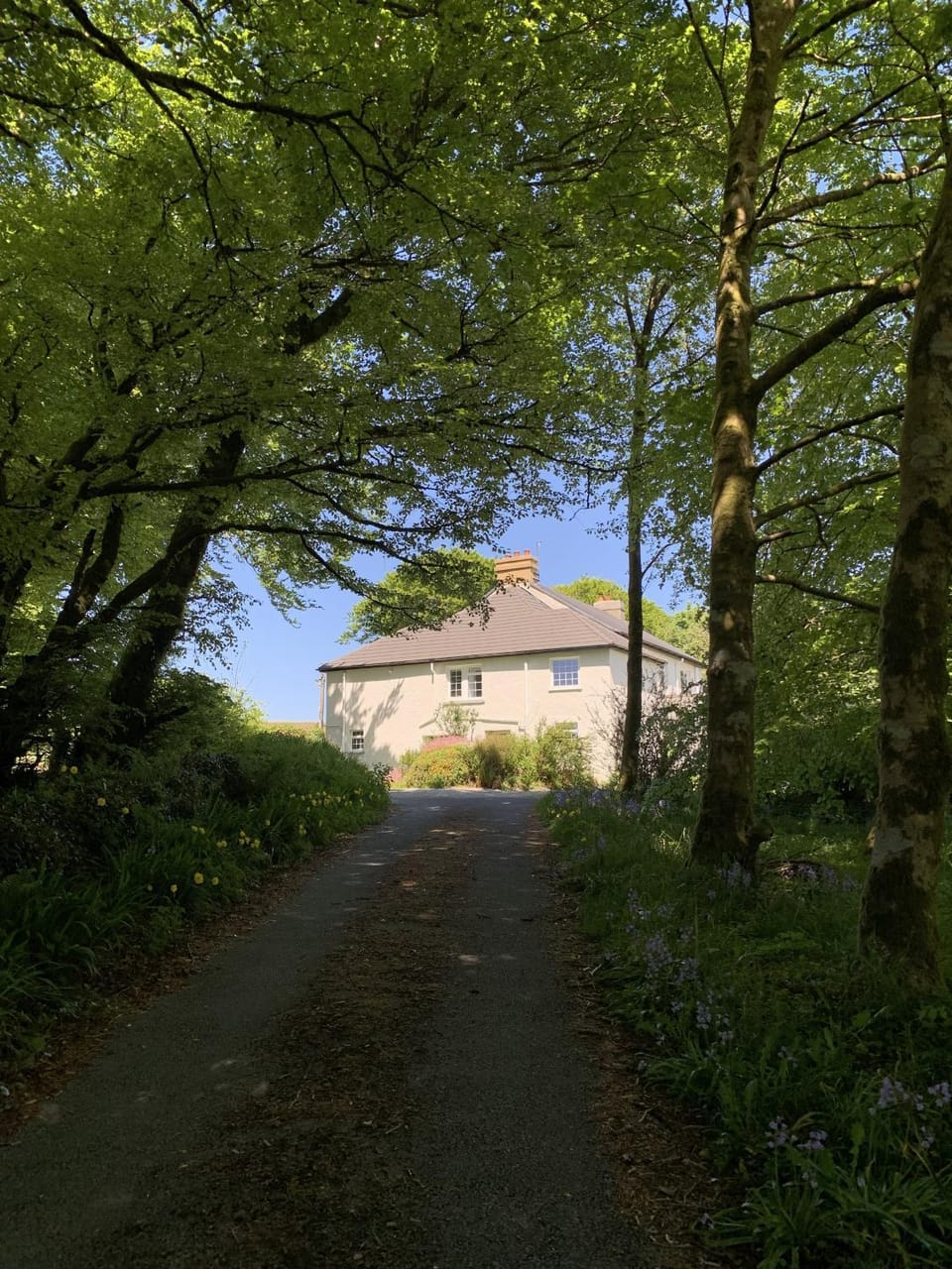 Property building, Garden
