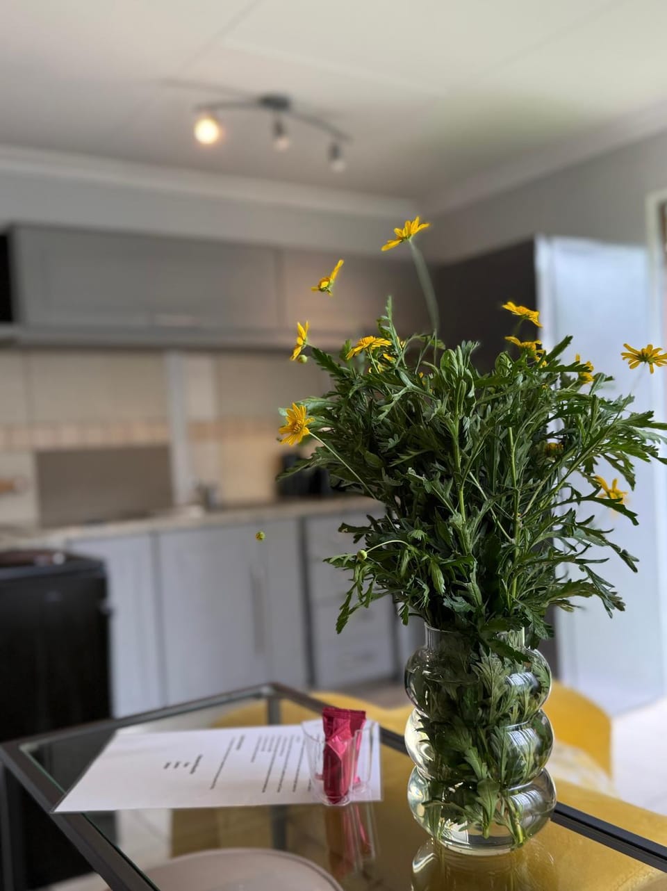Cozy Garden Cottage Apartment in Sandton