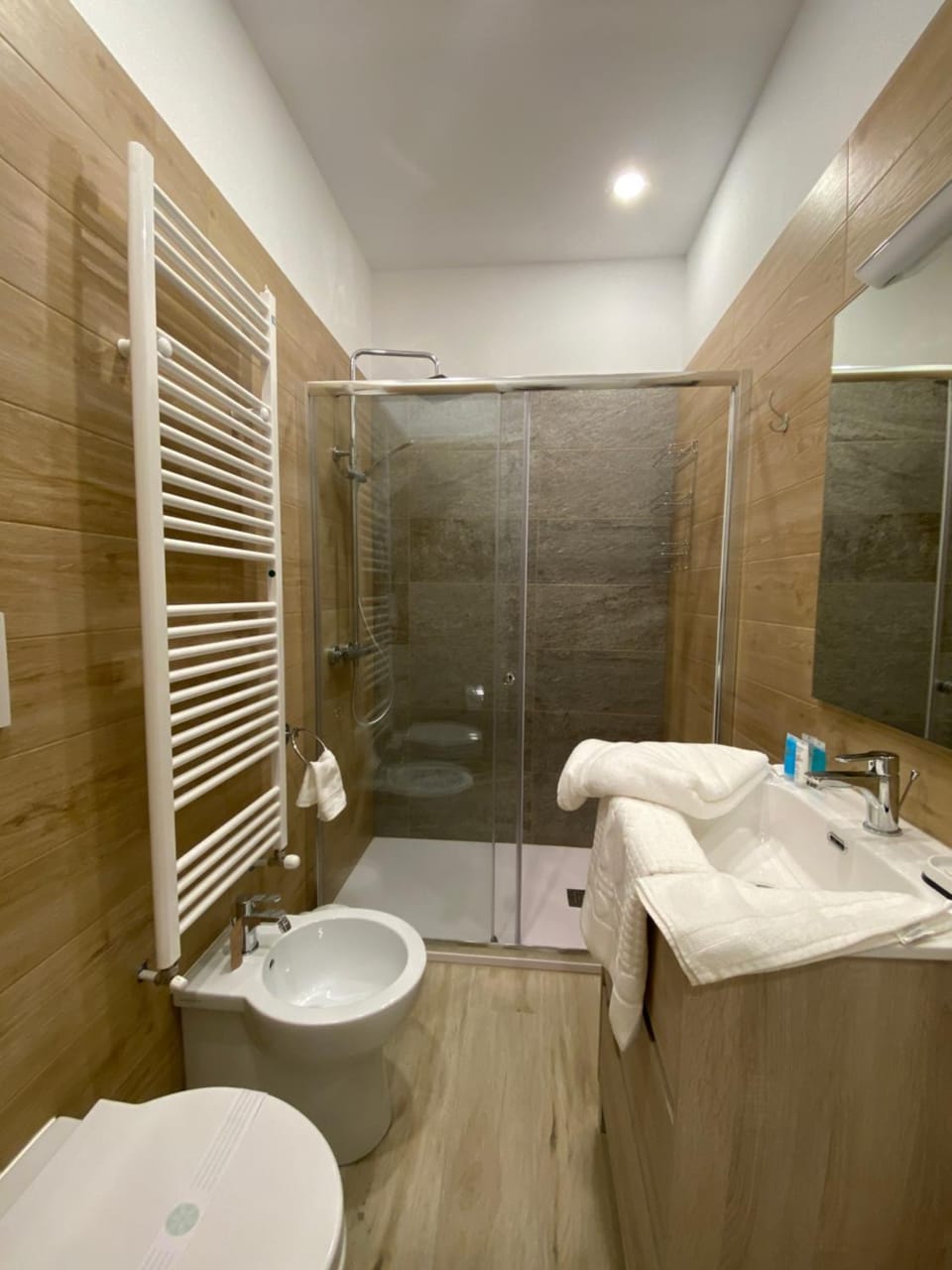 Shower, Toilet, Bathroom, towels