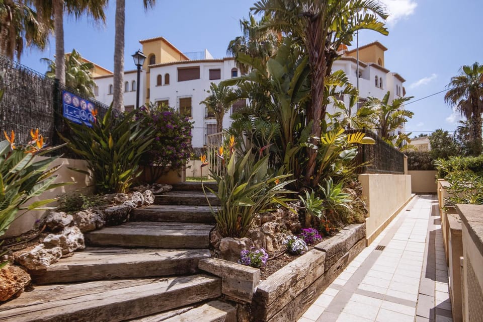 Patio, Garden, Garden view