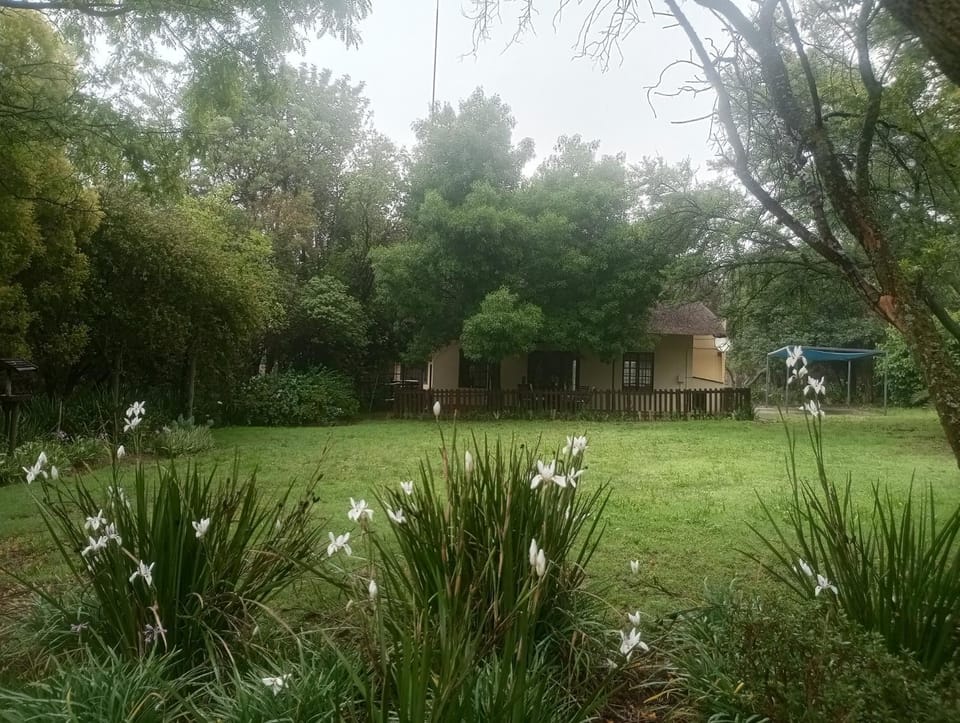 Property building, Garden, Garden view, Parking, pet friendly