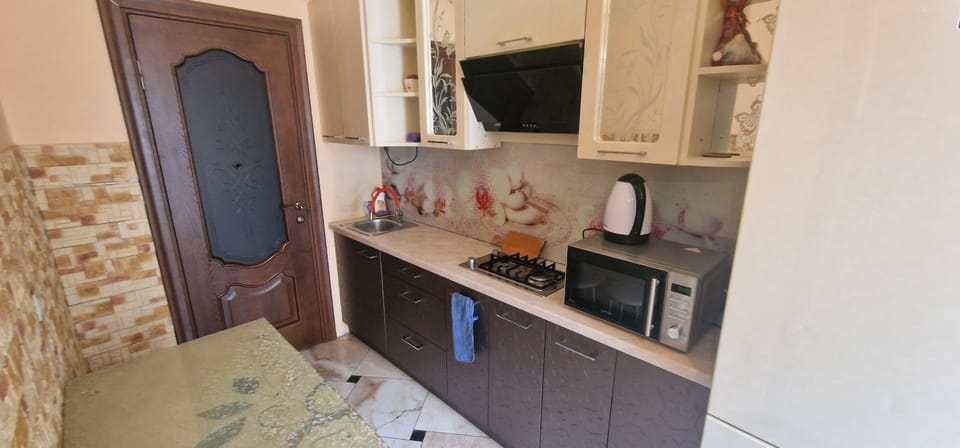 Оперний через дорогу Apartment in Lviv