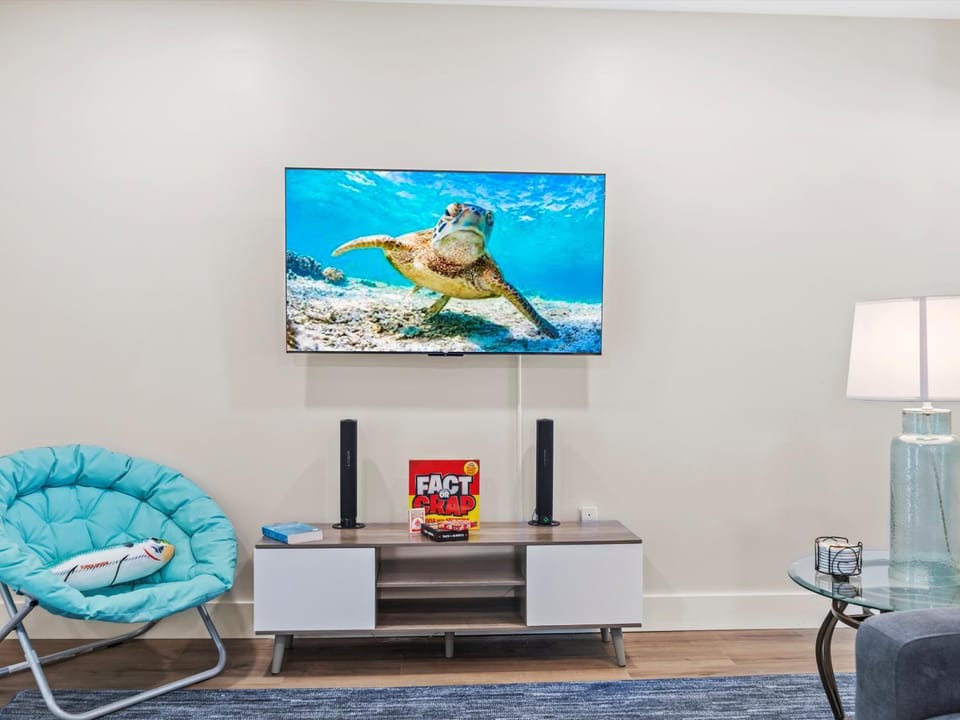 TV and multimedia
