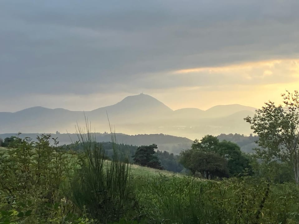 Natural landscape