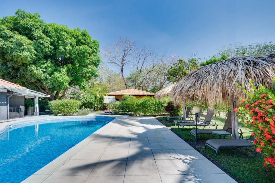 Spring, Day, Garden, Garden view, Pool view, Swimming pool, Swimming pool, sunbed