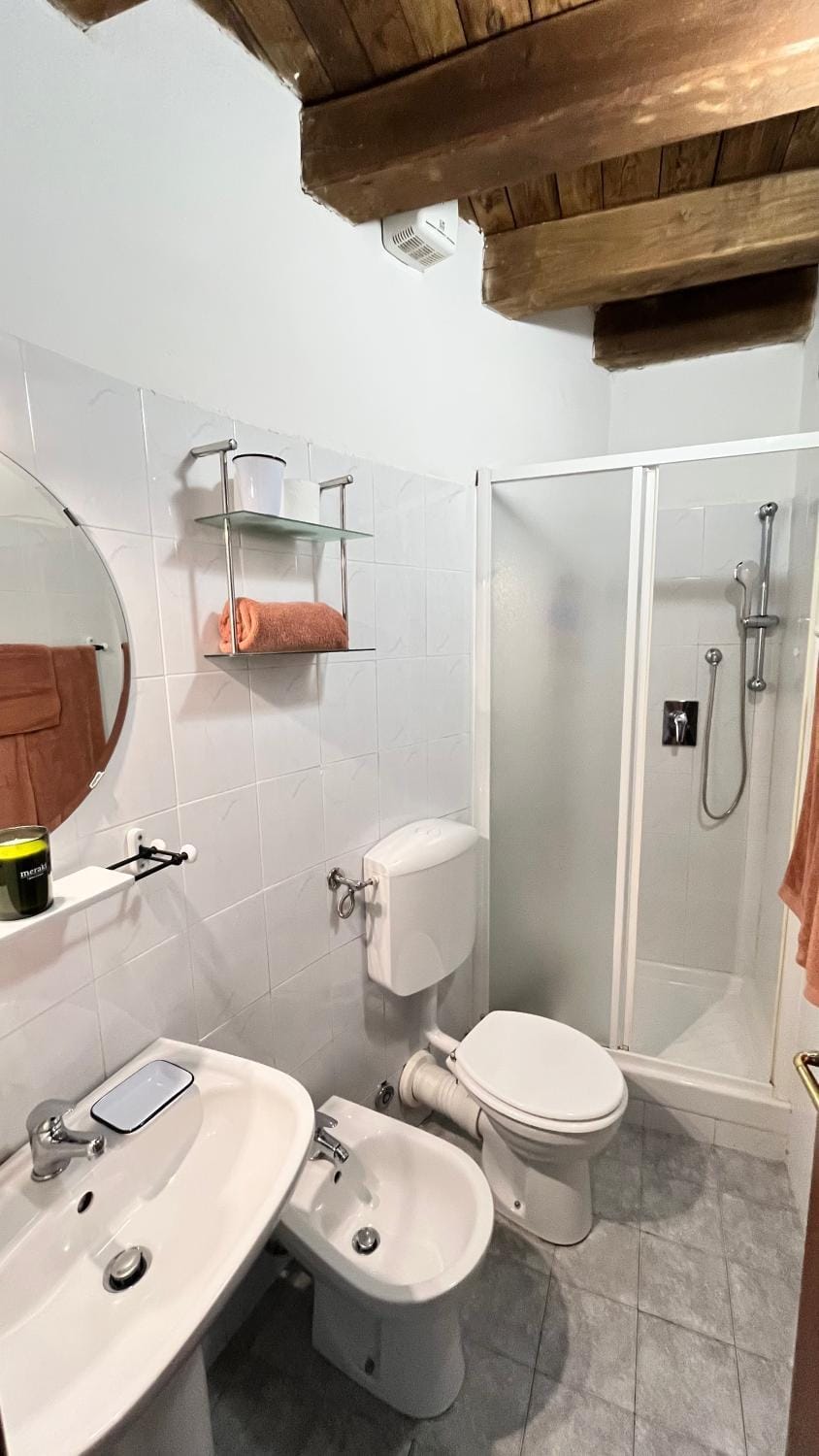 Shower, Toilet, Bathroom, bidet, towels