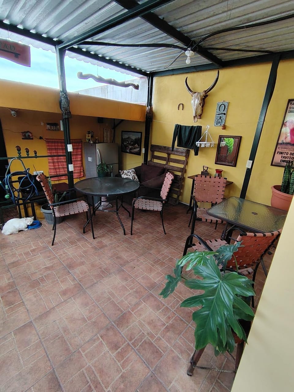 Rooms libertad,Habitacion con litera y baño compartido, 6 A Bed and Breakfast in San Salvador
