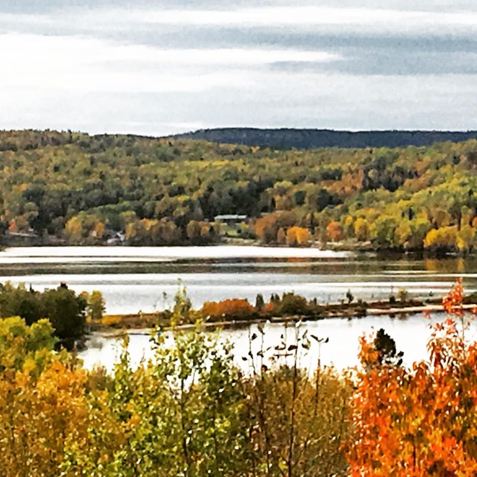 Natural landscape
