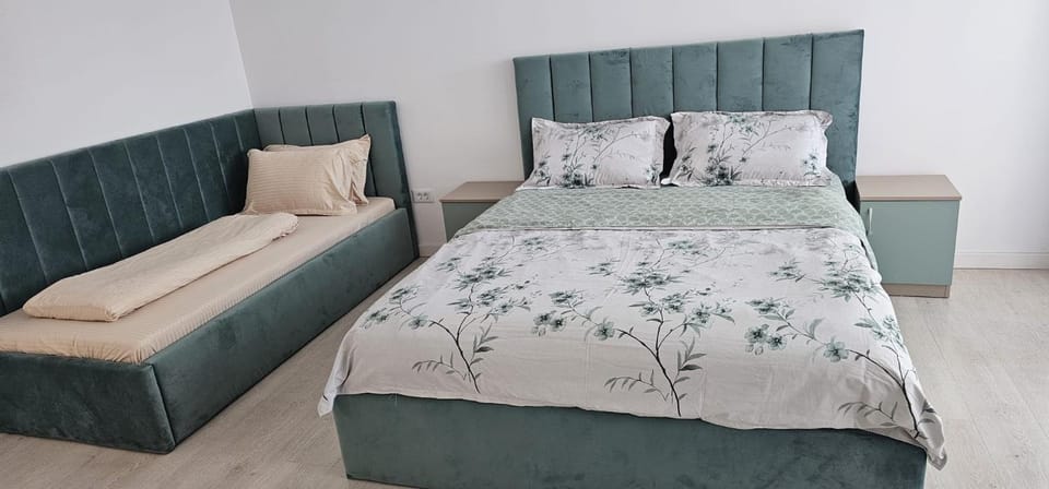 Vera Home 4 Apartment in Romania