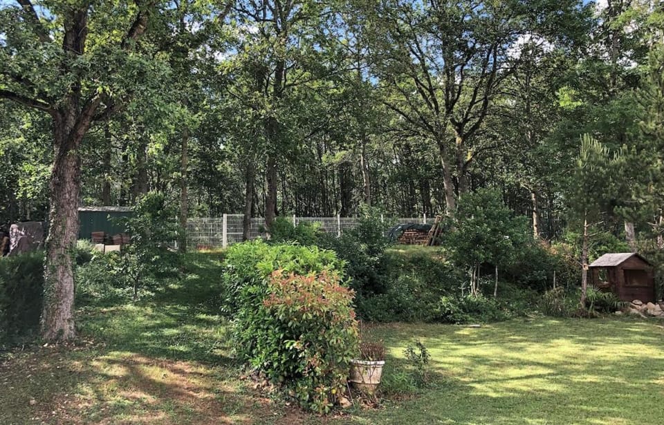 Garden, Garden