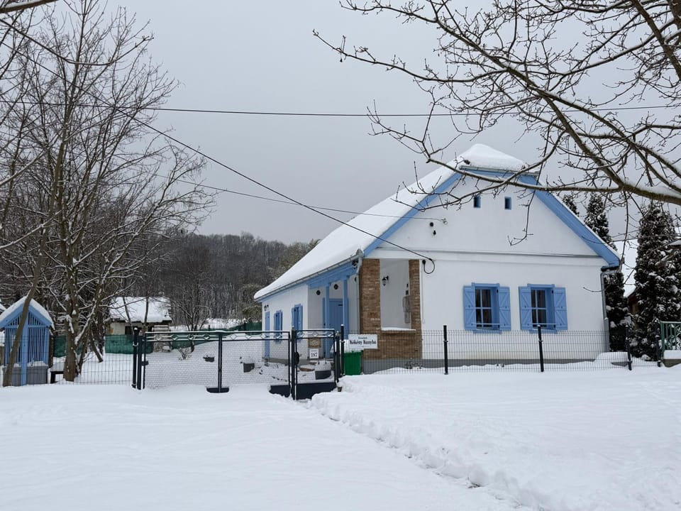 Winter