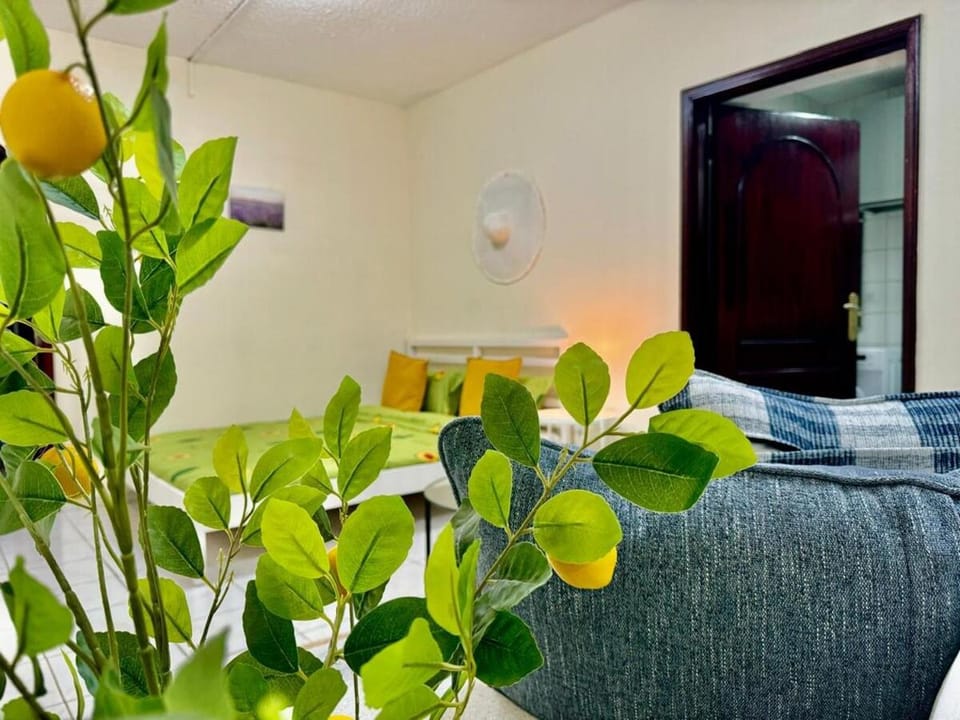 Maankhool Sleep 3 Apartment in Dubai