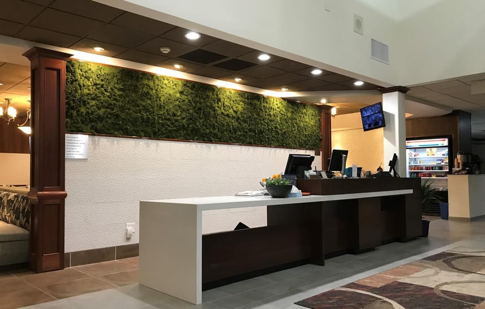 Lobby or reception