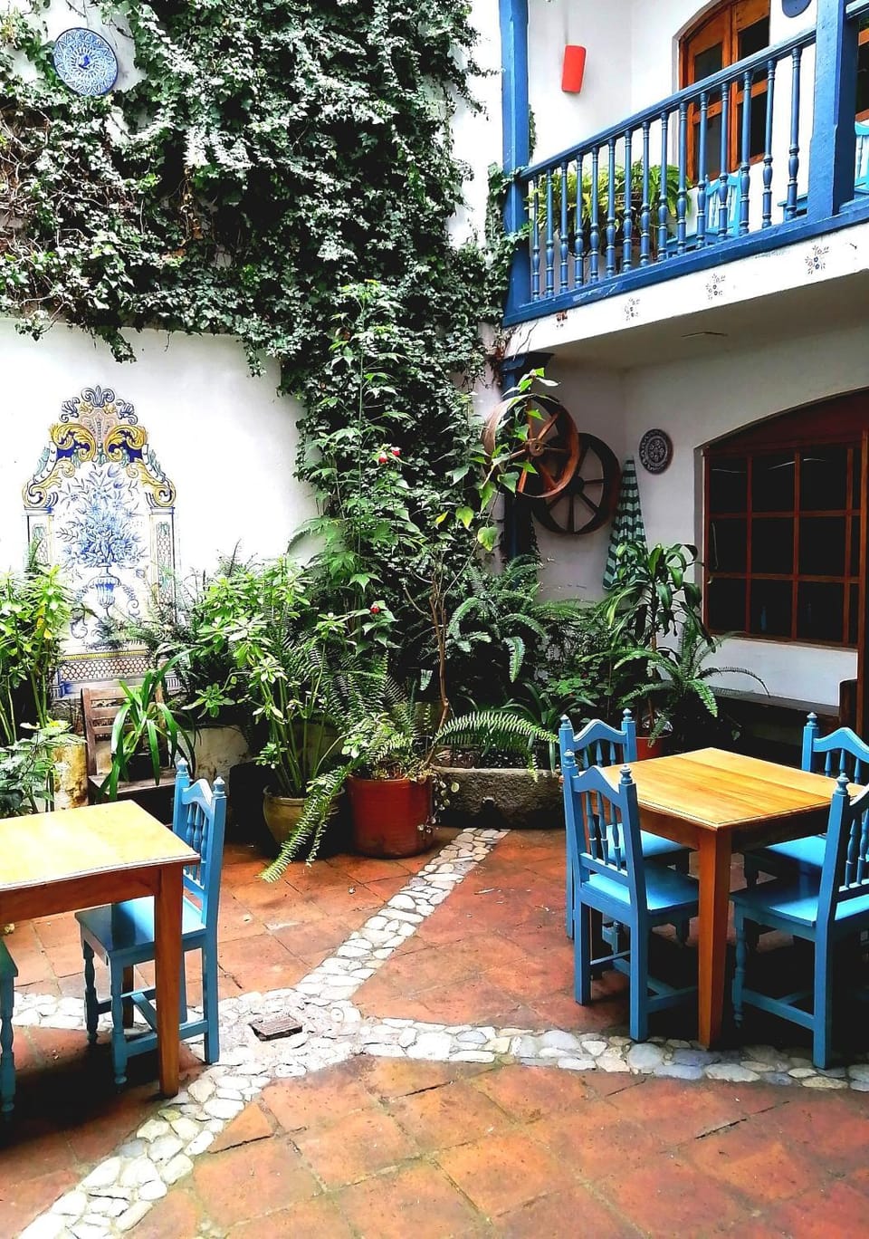 Garden, Food and drinks
