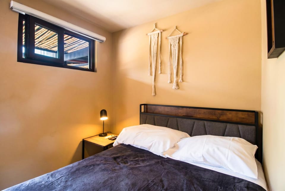 La Selva Hostel Bed and Breakfast in Mexico City