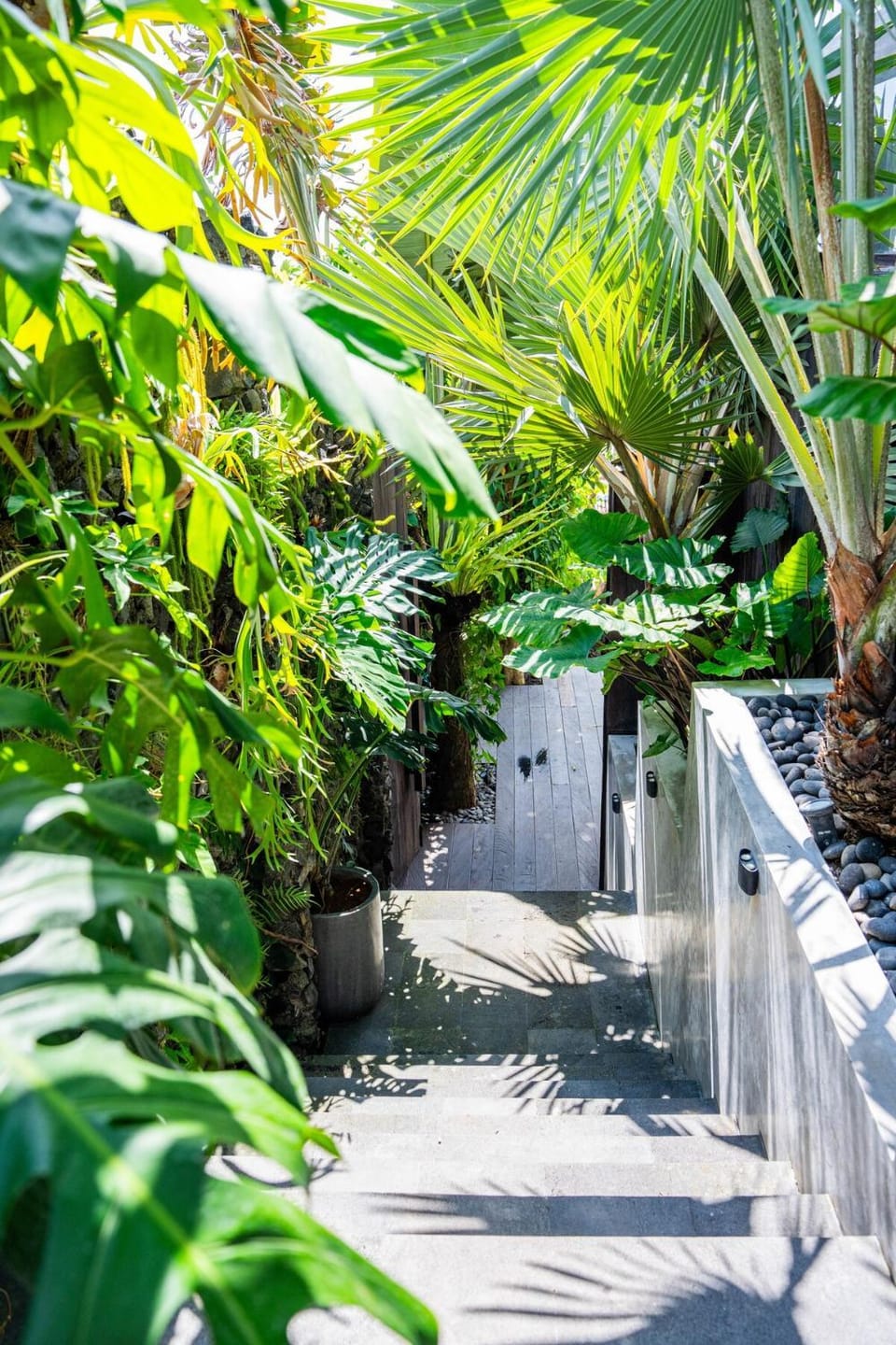 Garden, Garden, Garden view