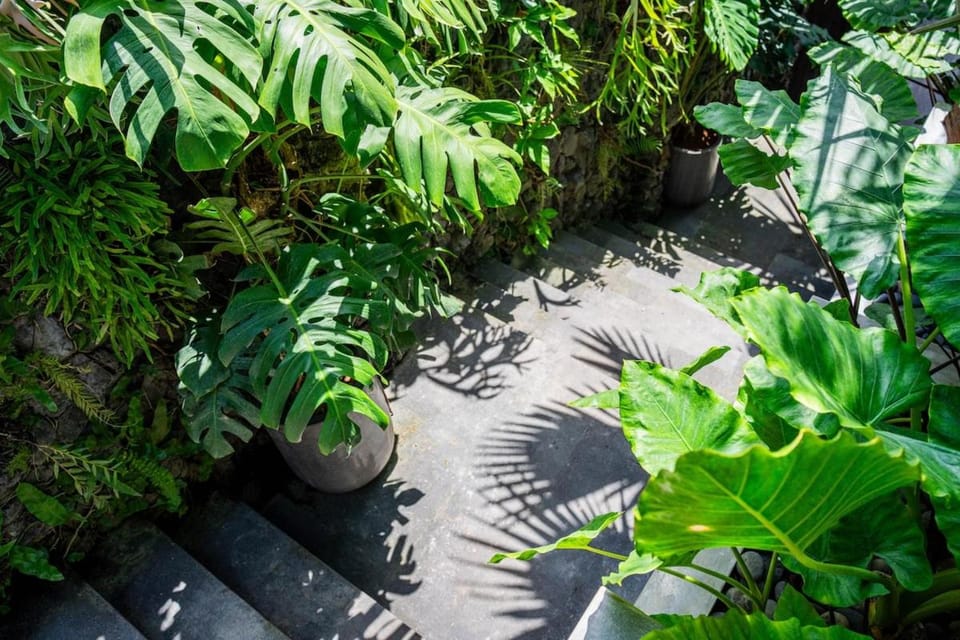 Garden, Garden