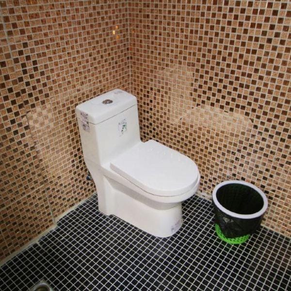 Toilet, Bathroom