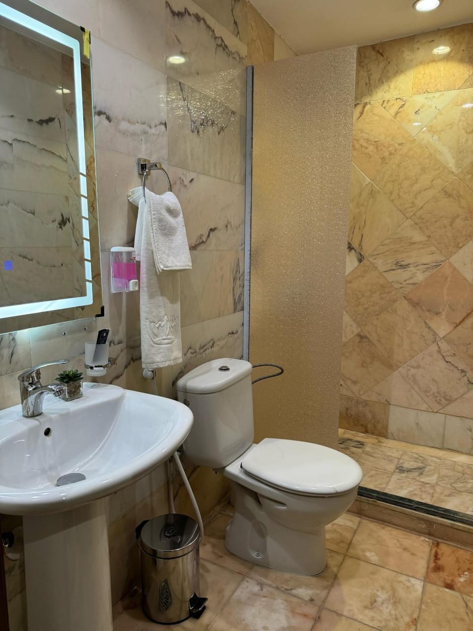 Toilet