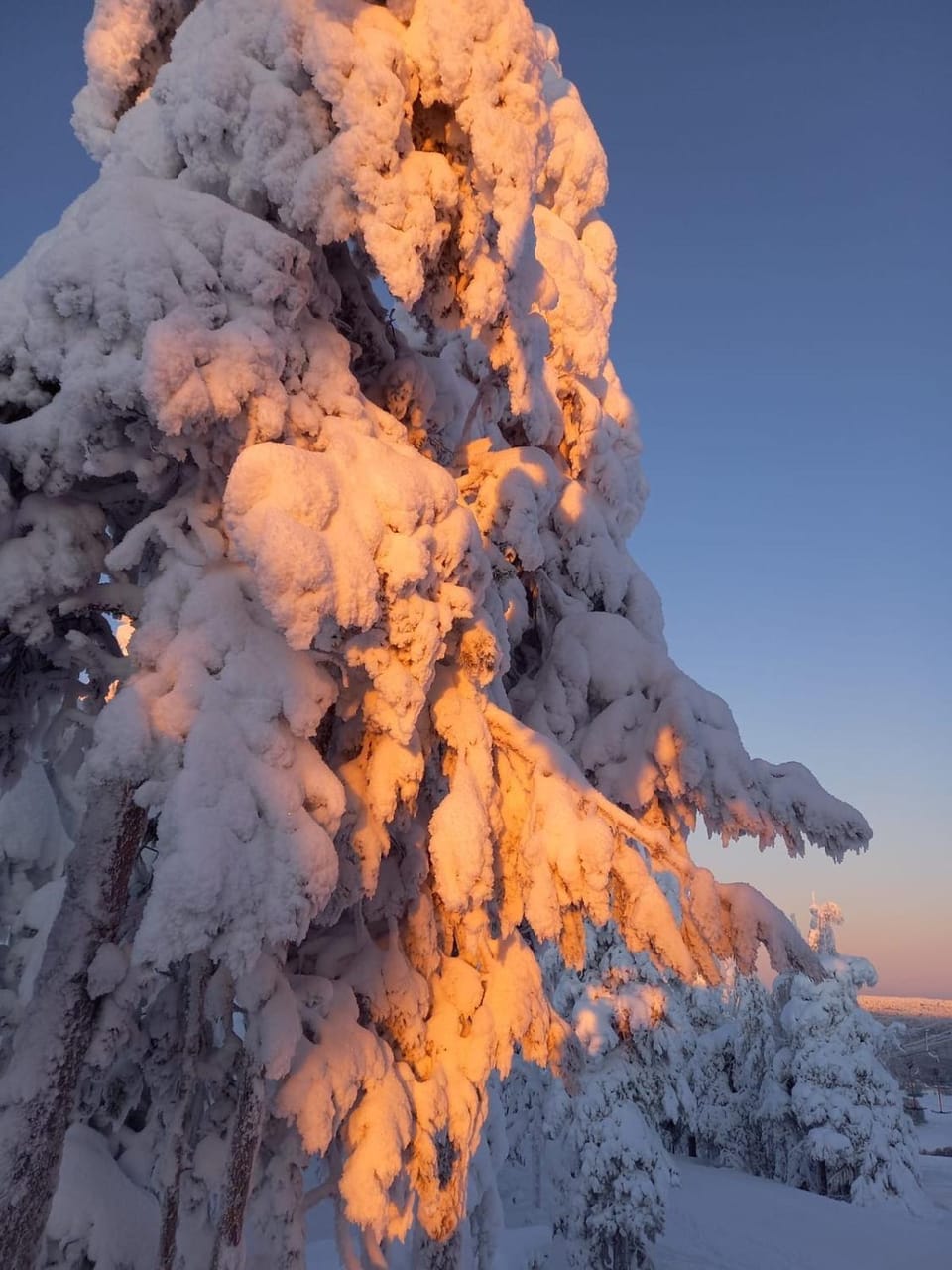 Day, Natural landscape, Winter