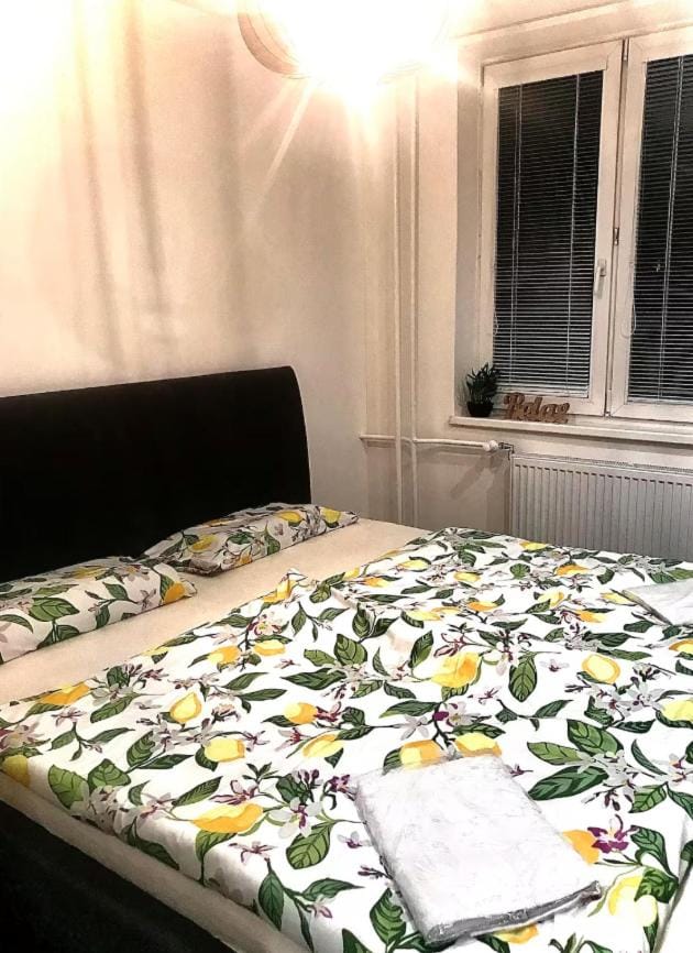 Lovely flat in a great location Vacation rental in Slovakia