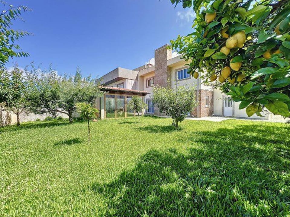 Garden, Garden, Garden view