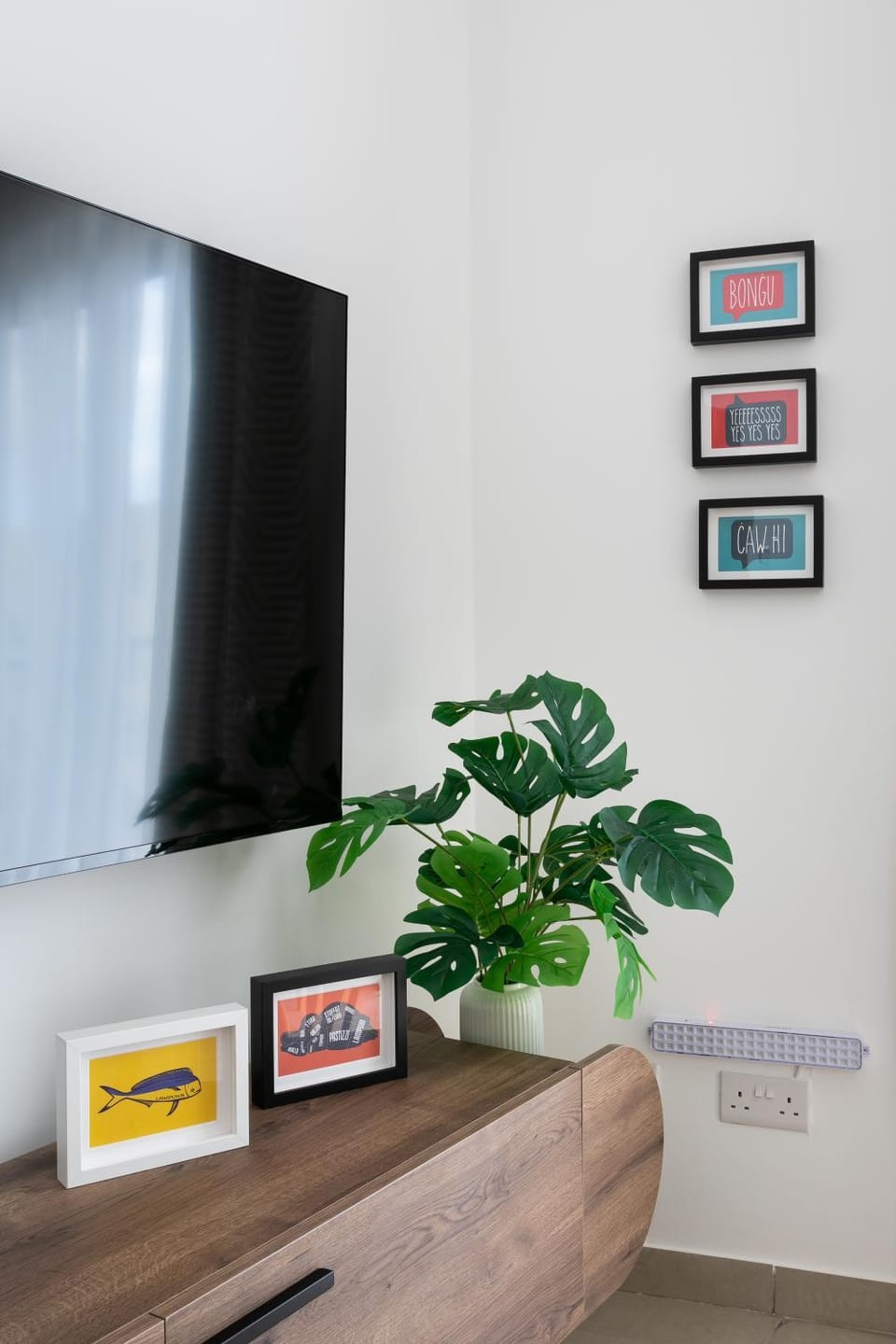 TV and multimedia