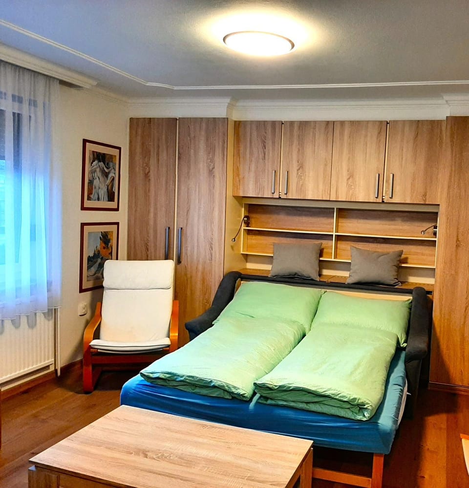 Bed, Living room, Photo of the whole room, Seating area, Bedroom