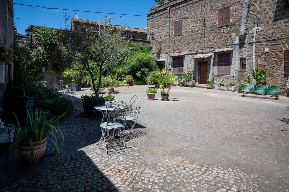 Property building, Patio, Spring, Day, Garden, Garden view