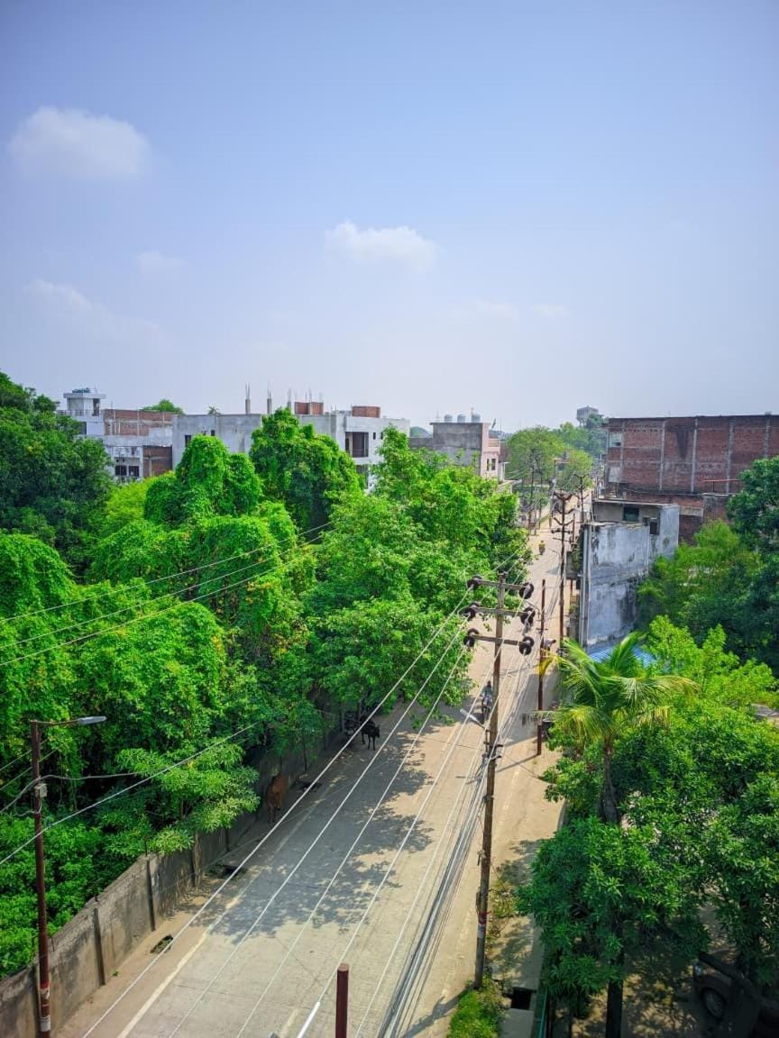Property building, Spring, Day, Neighbourhood, Natural landscape, City view, Street view