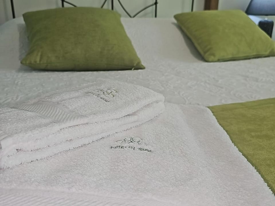 The Butterfly House_ Apartment in Ponta Delgada