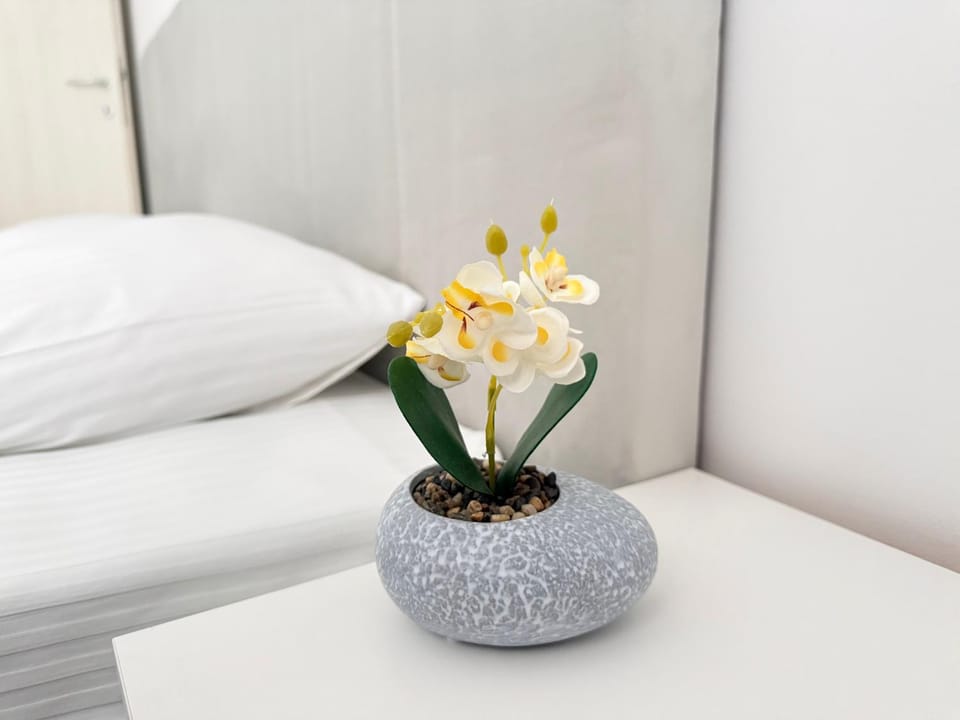 Rubinas Apartment Apartment in North Macedonia