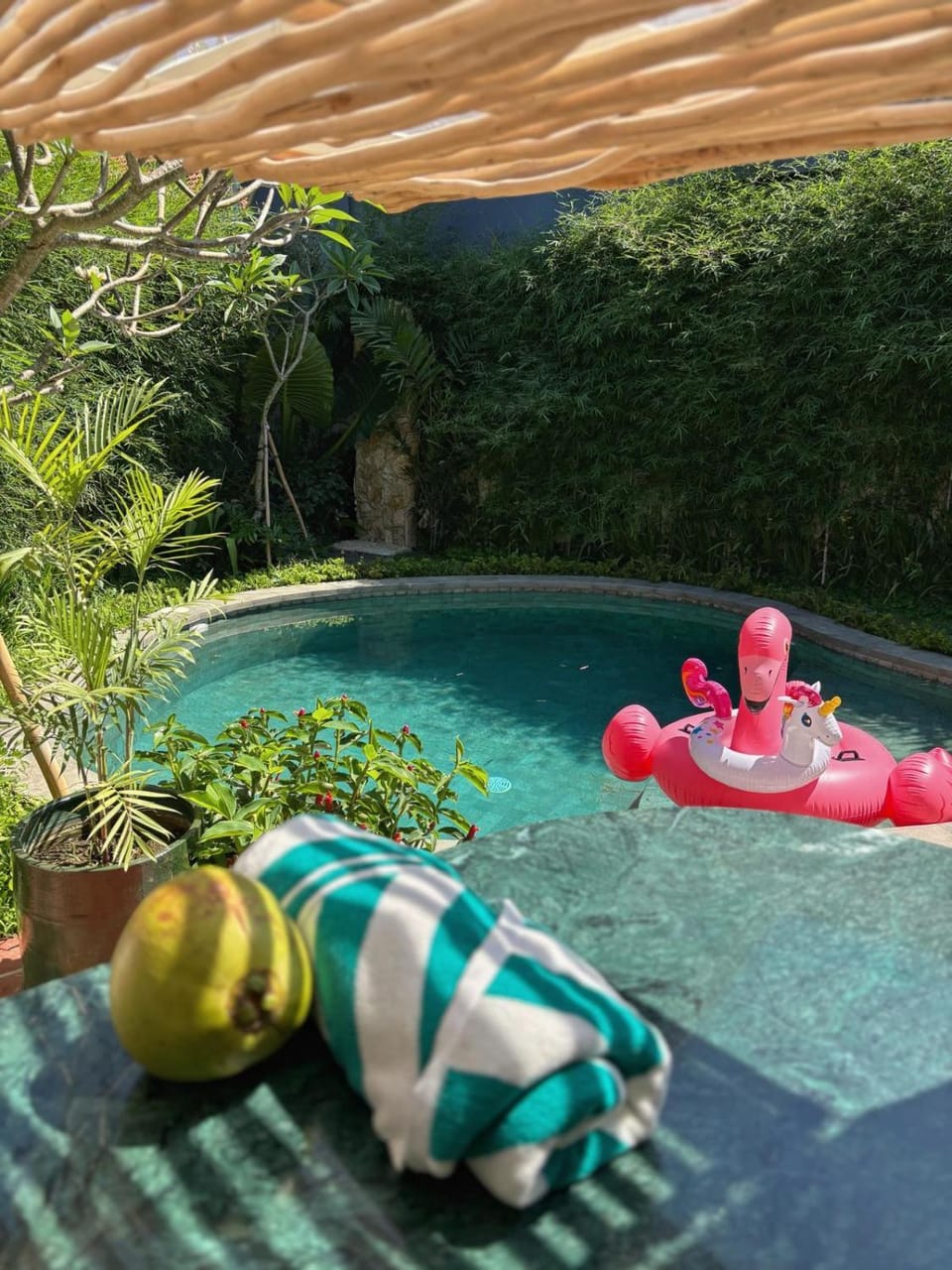 Swimming pool