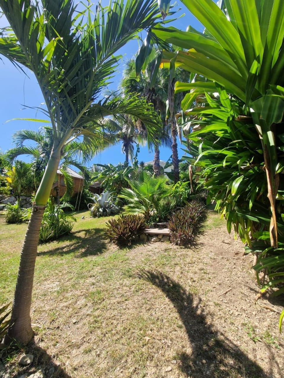 Garden, Garden view