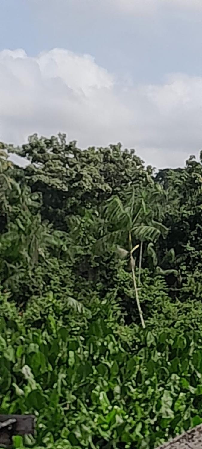 Natural landscape